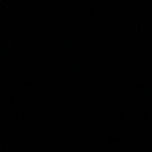 Meet your Posher, Celeste